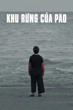 Khu rừng của Páo
